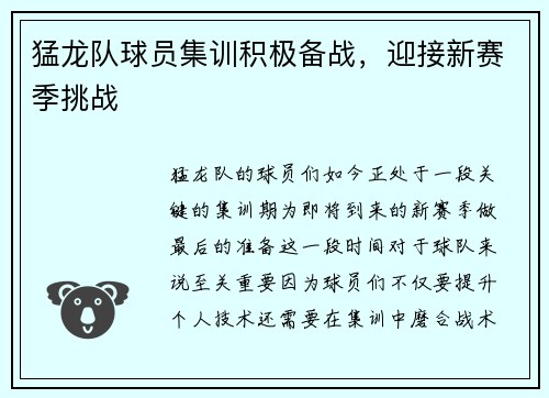 猛龙队球员集训积极备战，迎接新赛季挑战